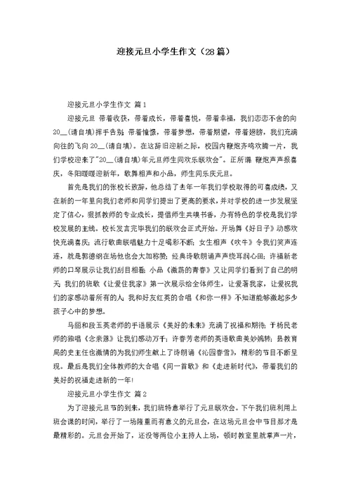 迎接元旦小学生作文（28篇）