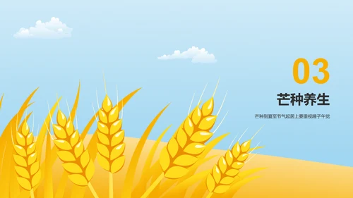 黄色插画二十四节气芒种科普介绍PPT模板