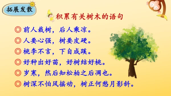 识字2 树之歌  课件