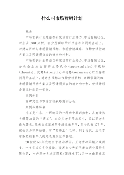 什么叫市场营销计划.docx