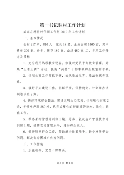 第一书记驻村工作计划 (2).docx