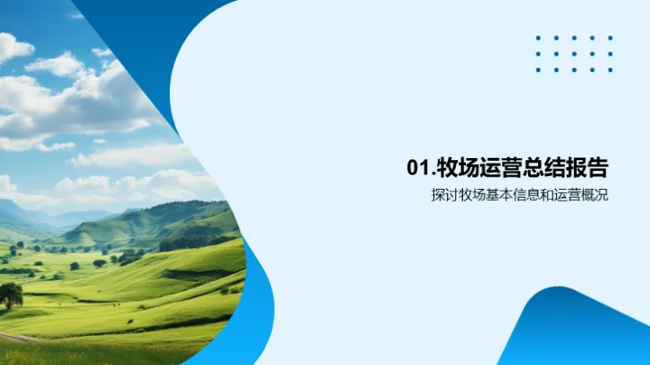 牧场运营与效益提升