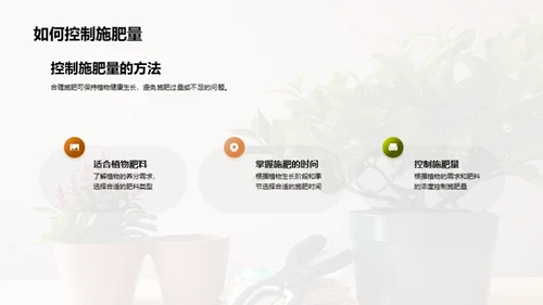 植物养护：小白到专家之路