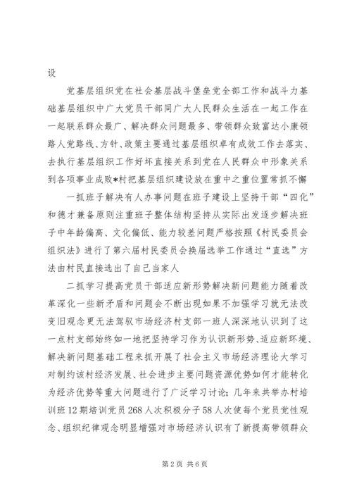 村党支部先进事迹材料.docx