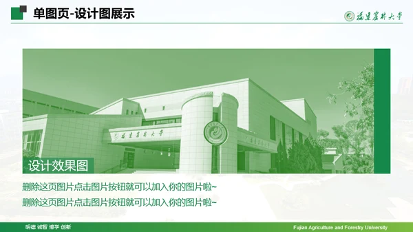 福建农林大学-王茜茜-汇报答辩通用PPT模板