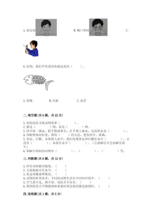 教科版一年级下册科学期末测试卷（轻巧夺冠）.docx