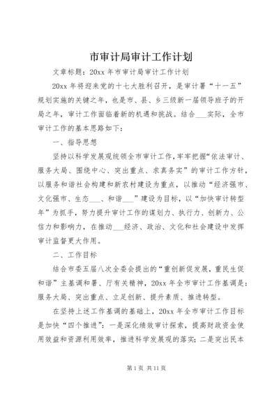 市审计局审计工作计划.docx