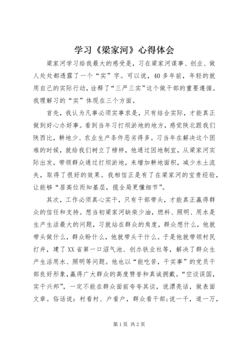 学习《梁家河》心得体会 (15).docx