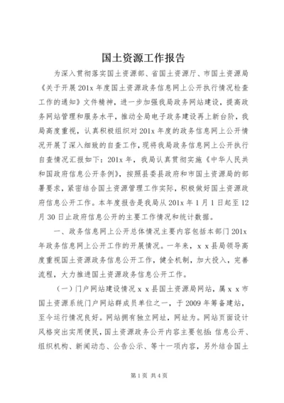 国土资源工作报告.docx