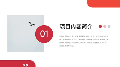 红色通用房地产项目介绍PPT模板
