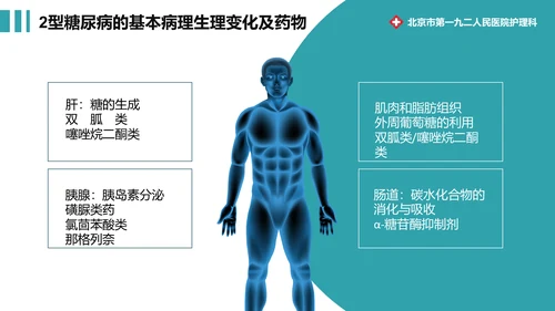 糖尿病健康知识宣教通用PPT模板