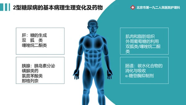 糖尿病健康知识宣教通用PPT模板