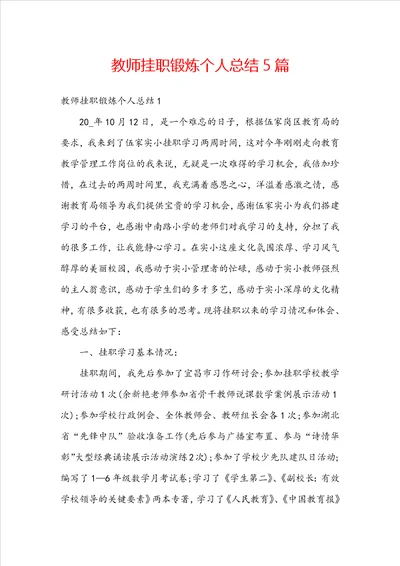 教师挂职锻炼个人总结5篇