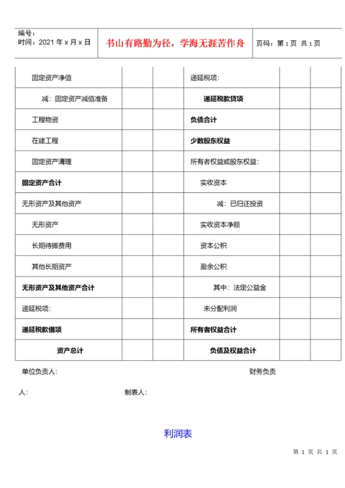 财务报表模板(全套).docx