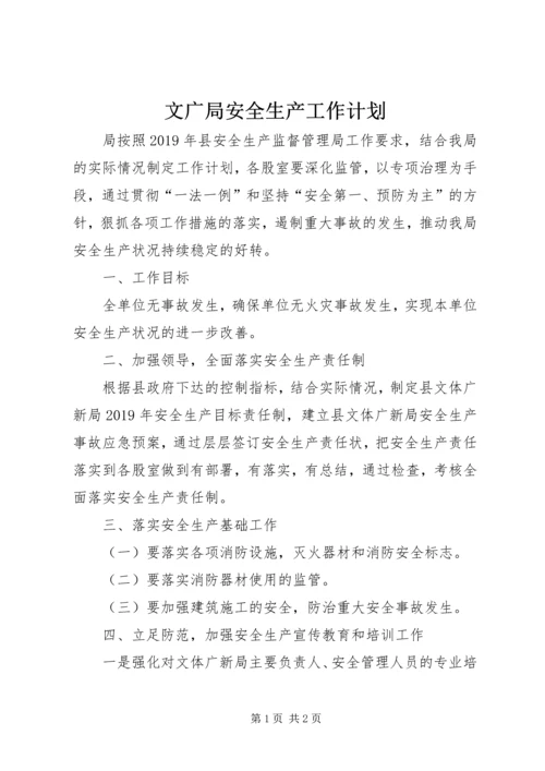 文广局安全生产工作计划.docx