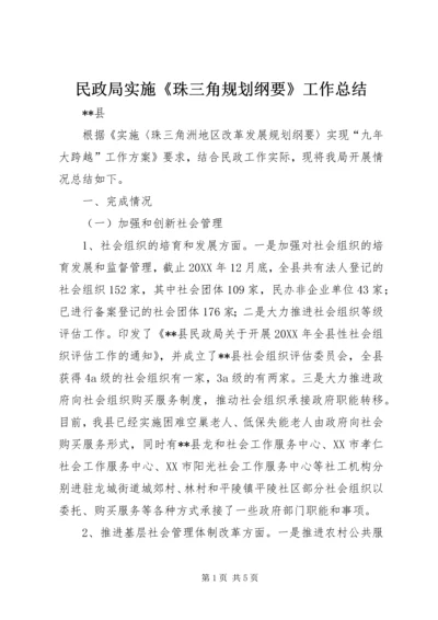 民政局实施《珠三角规划纲要》工作总结.docx