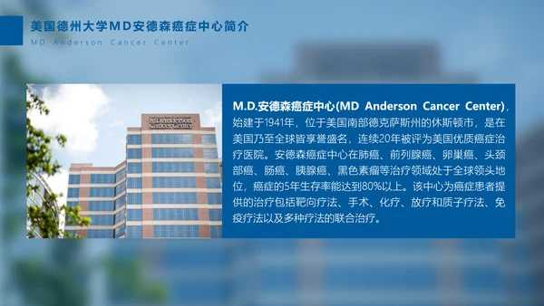 专业国际医疗机构PPT模板
