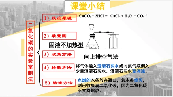 6.2 二氧化碳制取的研究课件(共31张PPT)---2023-2024学年九年级化学人教版上册