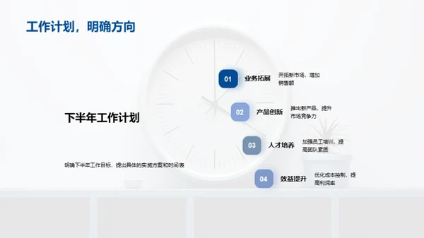 半年业绩回顾与展望