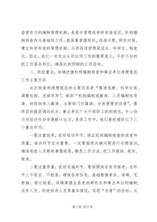 副县长在编制核查会发言.docx