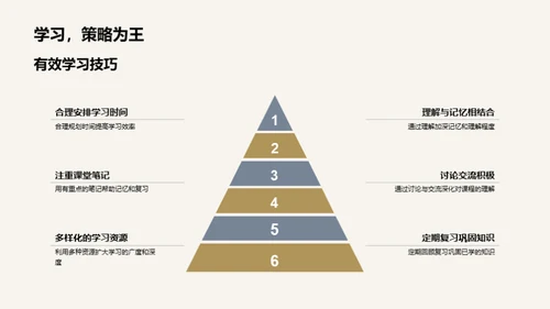 探索专业学习之路