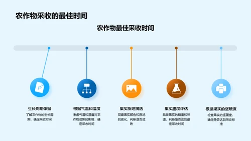 秋季农业丰收宝典