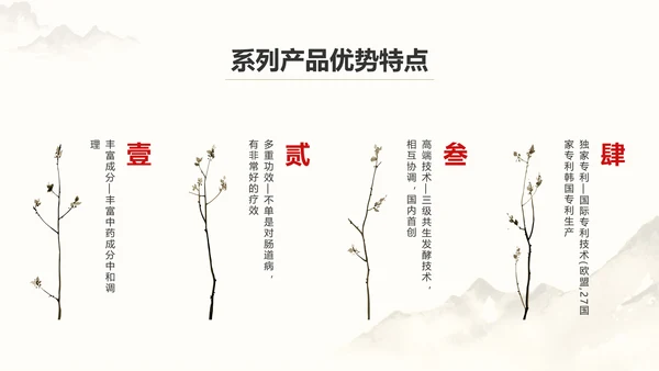 中国风中医药医疗保健产品介绍
