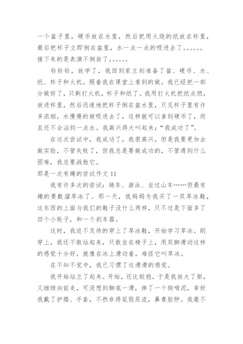 那是一次有趣的尝试作文_5.docx