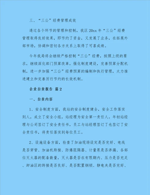 企业自查报告范文锦集5篇
