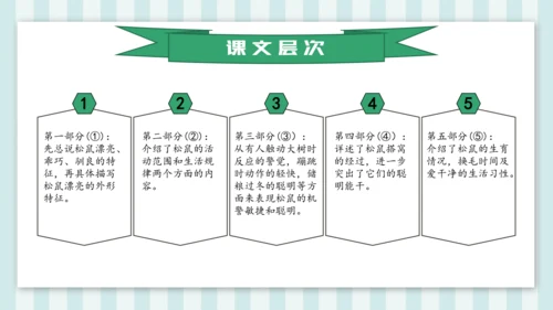 统编版五年级语文上册第17课《松鼠》教学课件