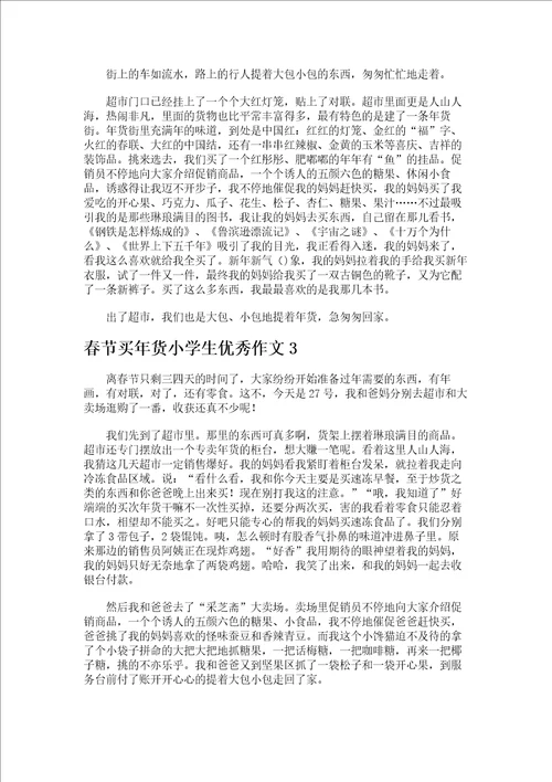 春节买年货小学生优秀作文