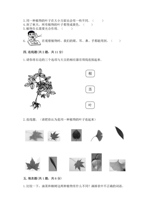 教科版科学一年级上册第一单元《植物》测试卷及参考答案【完整版】.docx
