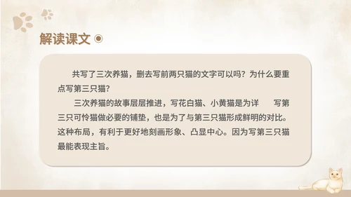 黄色水彩风语文初一课件猫课文PPT模板