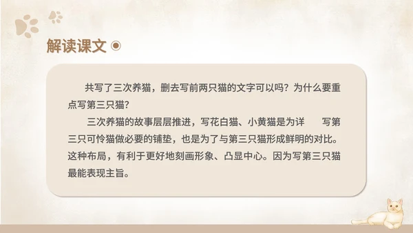 黄色水彩风语文初一课件猫课文PPT模板