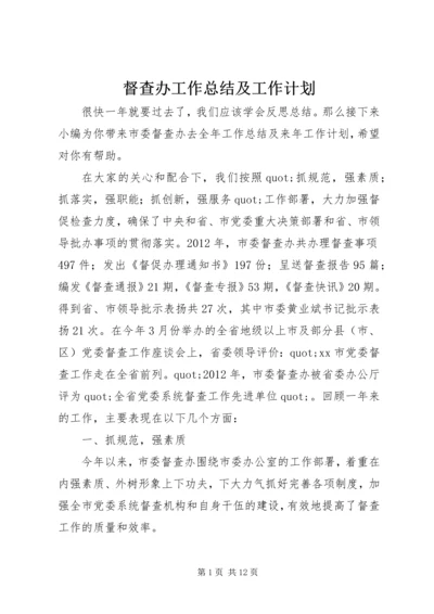 督查办工作总结及工作计划.docx