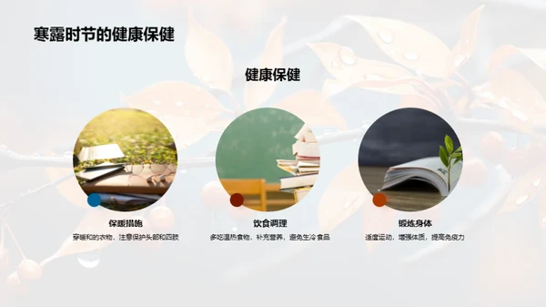 探索寒露节气