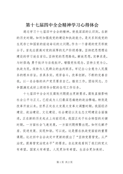 第十七届四中全会精神学习心得体会 (3).docx