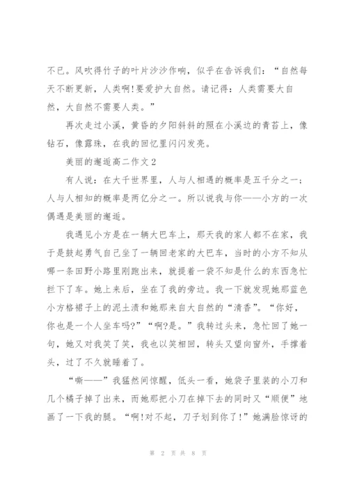 美丽的邂逅高二作文5篇.docx