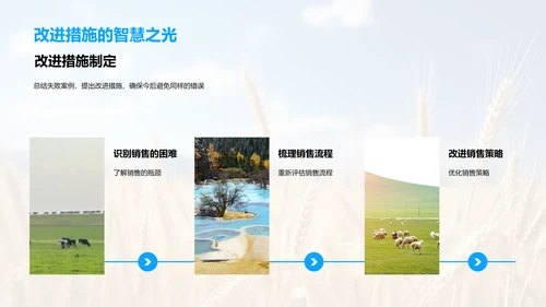农产销售年中盘点