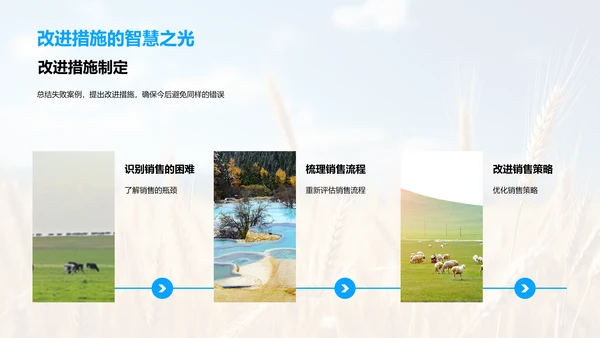 农产销售年中盘点