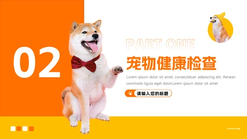 橙黄简洁宠物健康护理PPT模板