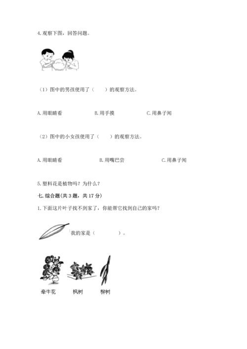 教科版一年级上册科学期末测试卷精品（考点梳理）.docx