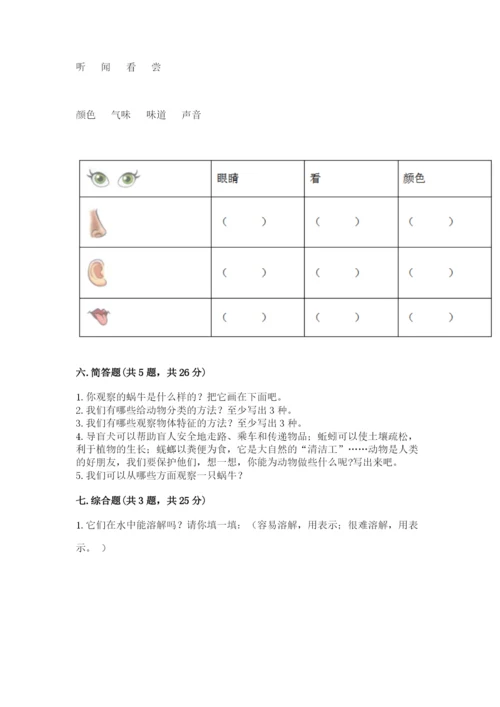 教科版小学科学一年级下册期末测试卷及答案【历年真题】.docx