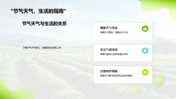 立春节气的奥秘解析