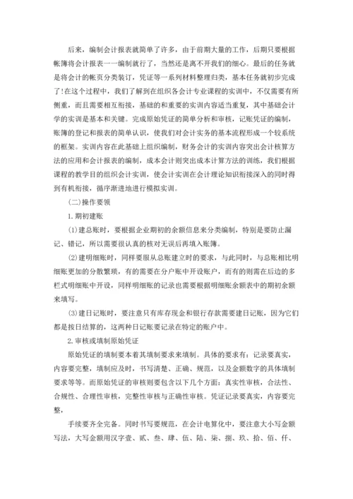 出纳的实习报告范文集合7篇.docx