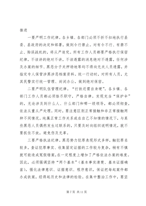 县领导在打黑除恶整治会议发言.docx