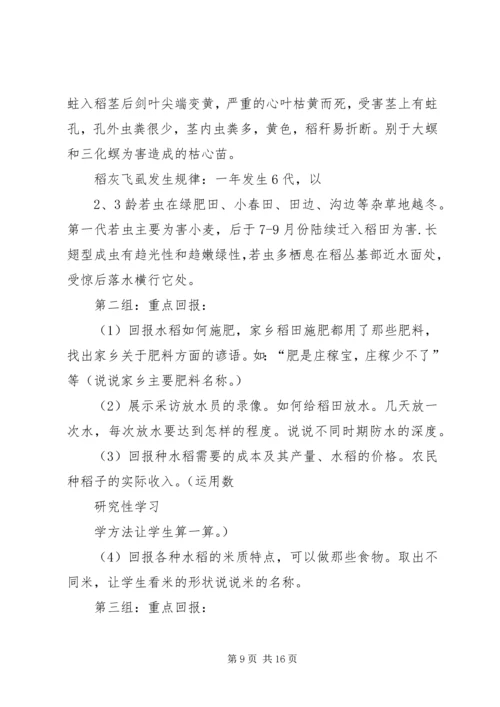 农村小学综合实践活动 (5).docx