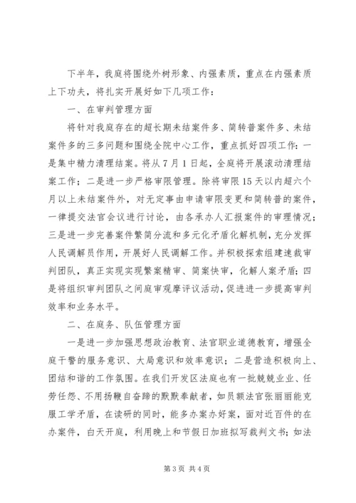 经济开发区法庭上半年工作总结暨下半年工作计划.docx