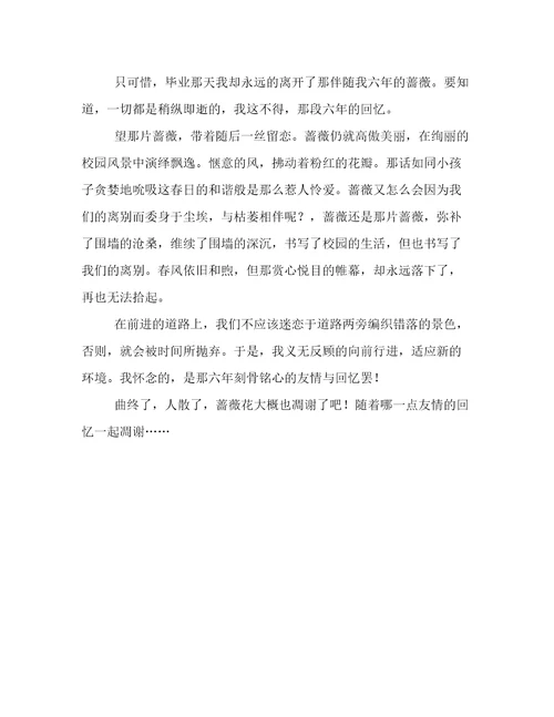 蔷薇,友情六年级作文