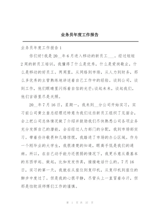 业务员年度工作报告.docx